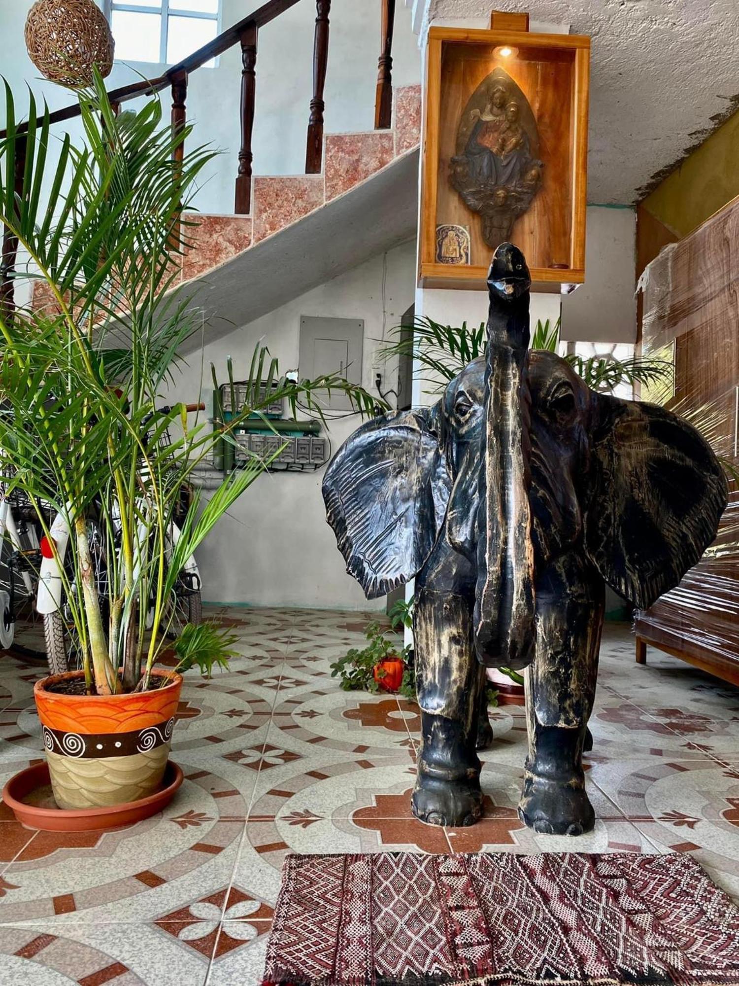 Casa Gajah Hotel Cuyo Eksteriør bilde