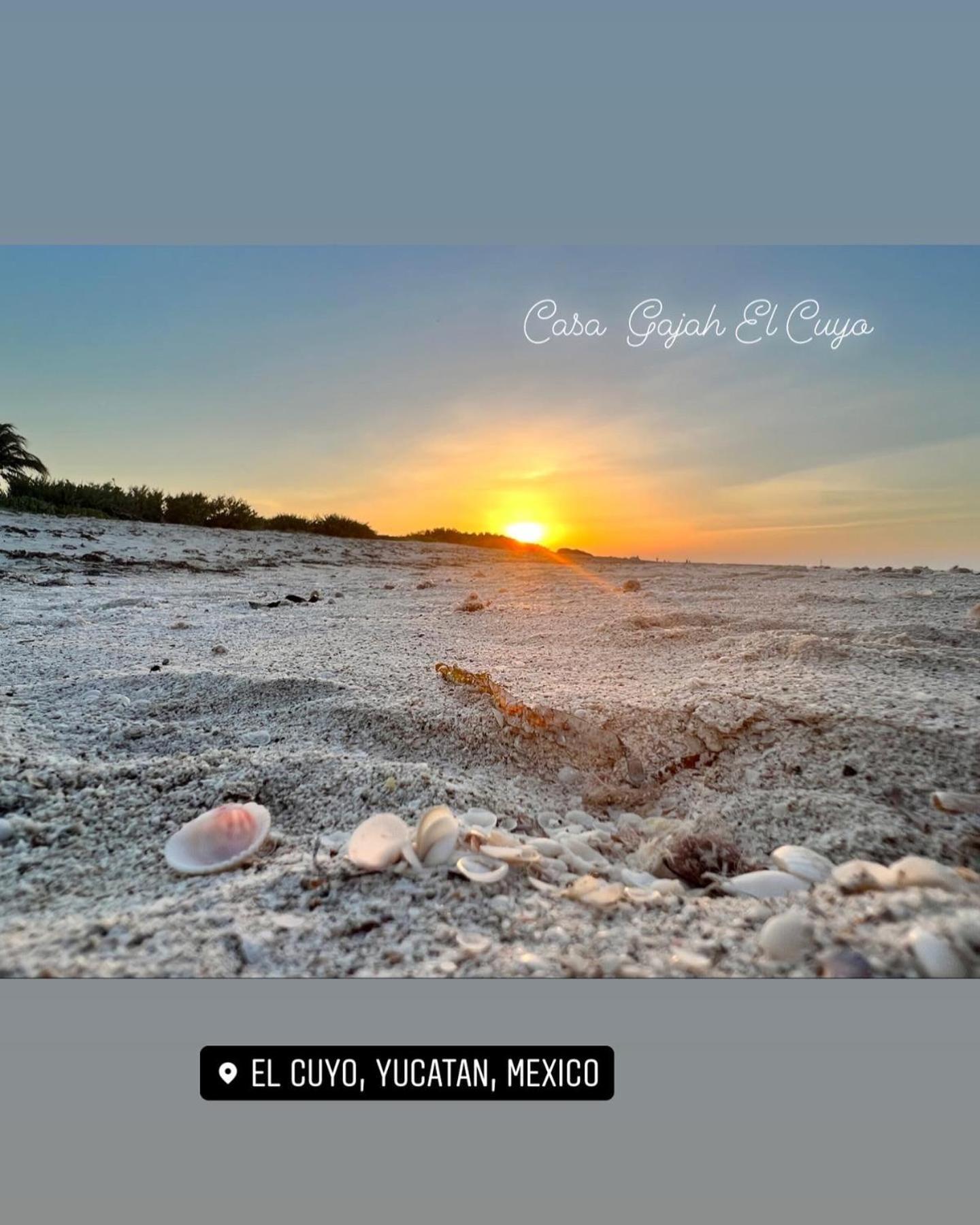 Casa Gajah Hotel Cuyo Eksteriør bilde